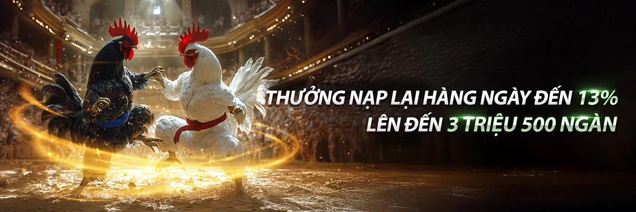 Hình ảnh giới thiệu nền tảng cá cược bị 88 đá gà