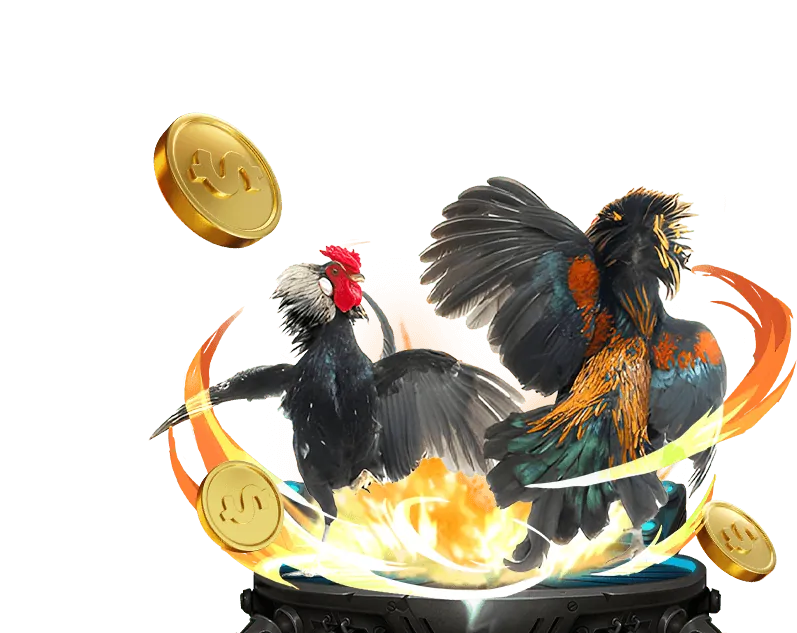 Các tính năng nổi bật của ứng dụng bị 88 đá gà