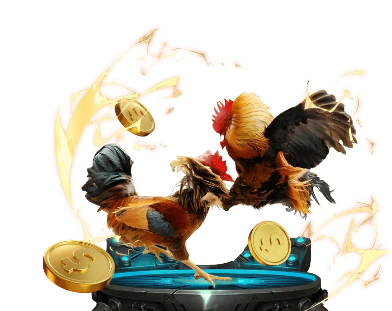 Trò chuyện trực tuyến 24/7 với bị 88 đá gà